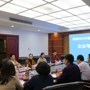 滄州民建考察團、南寧市民建調研組——行來我集團參觀考察 ... ...