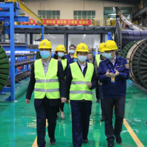 熱烈歡迎南寧市市場監(jiān)督管理局領導蒞臨縱覽集團檢查指導工作 ...