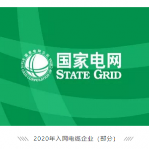 祝賀縱覽線纜集團成功進入國家電網(wǎng)供應商名錄，成為廣西唯一一家進入國網(wǎng)的電線電纜供 ...
