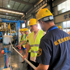 粵桂兩省區(qū)統(tǒng)戰(zhàn)部、工商聯(lián)領(lǐng)導蒞臨縱覽集團檢查指導工作