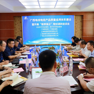 廣西市場(chǎng)監(jiān)管局工作組到我司開(kāi)展“提質(zhì)強(qiáng)企”幫扶調(diào)研活動(dòng) ...