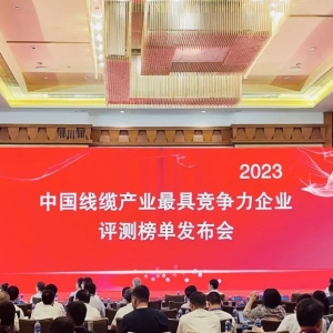 中國線纜產(chǎn)業(yè)最具競爭力企業(yè)100強發(fā)布：縱覽線纜連續(xù)五年上榜！