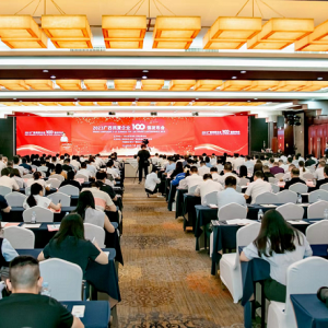 再傳喜訊！縱覽線纜集團成為廣西線纜行業(yè)唯一上榜廣西民營企業(yè)100強、廣西民營企業(yè)制造業(yè)100強企業(yè)